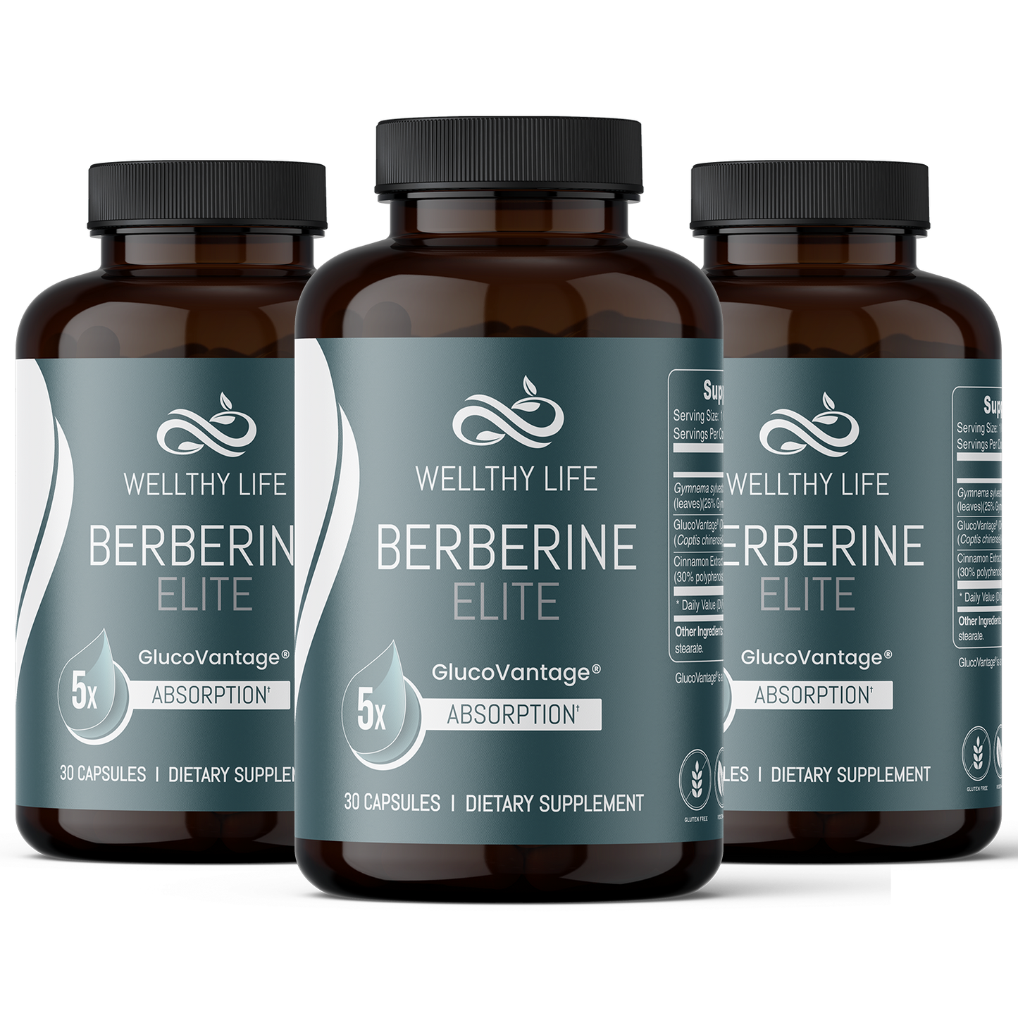 Wellthy Life Berberine ELITE