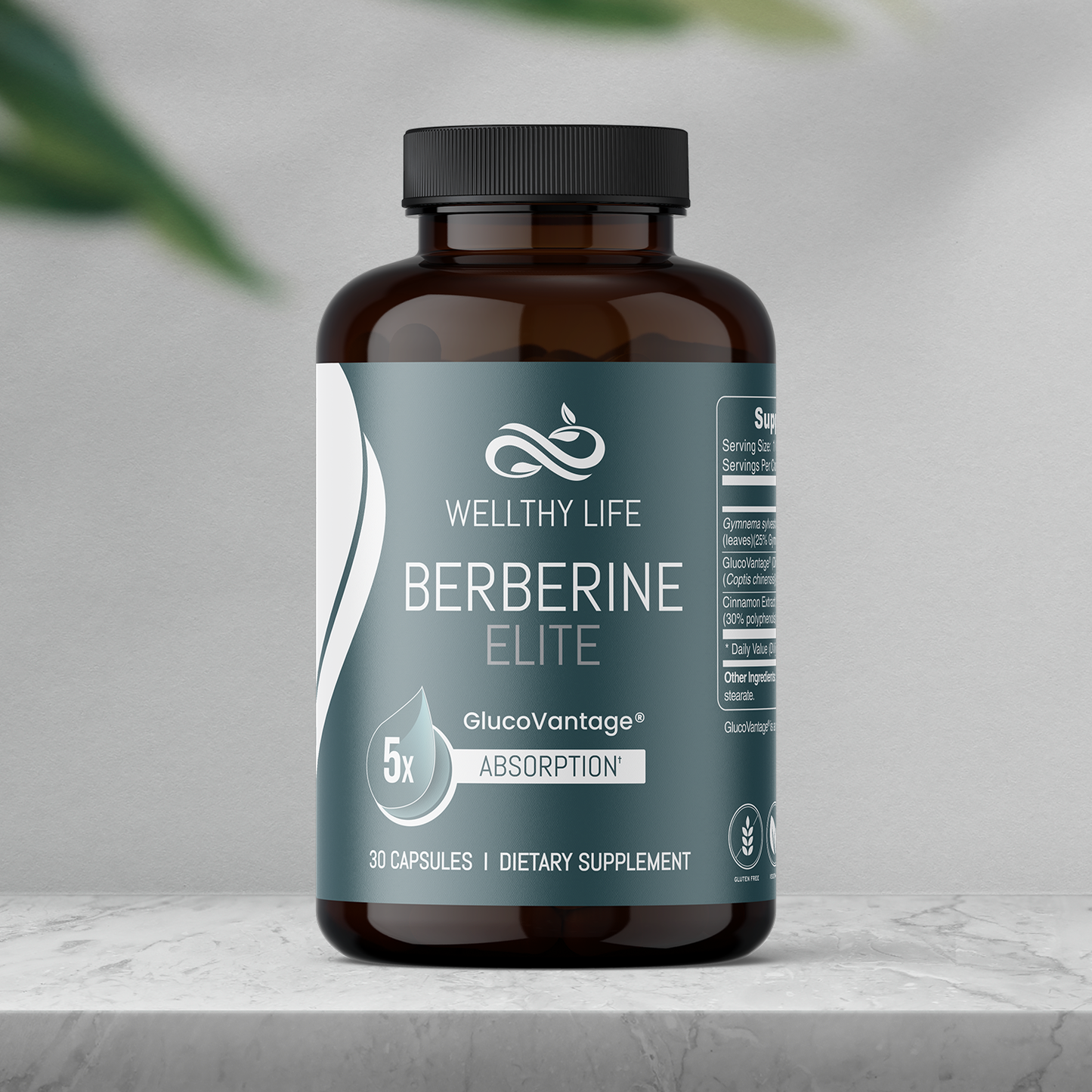 Wellthy Life Berberine ELITE
